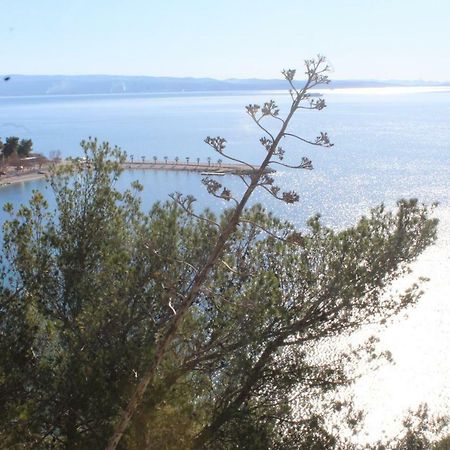 Paradise Apartment With Big Sunny Terrace In The Old Town, Few Meters From The Sea & Riva Promenade 스플리트 외부 사진
