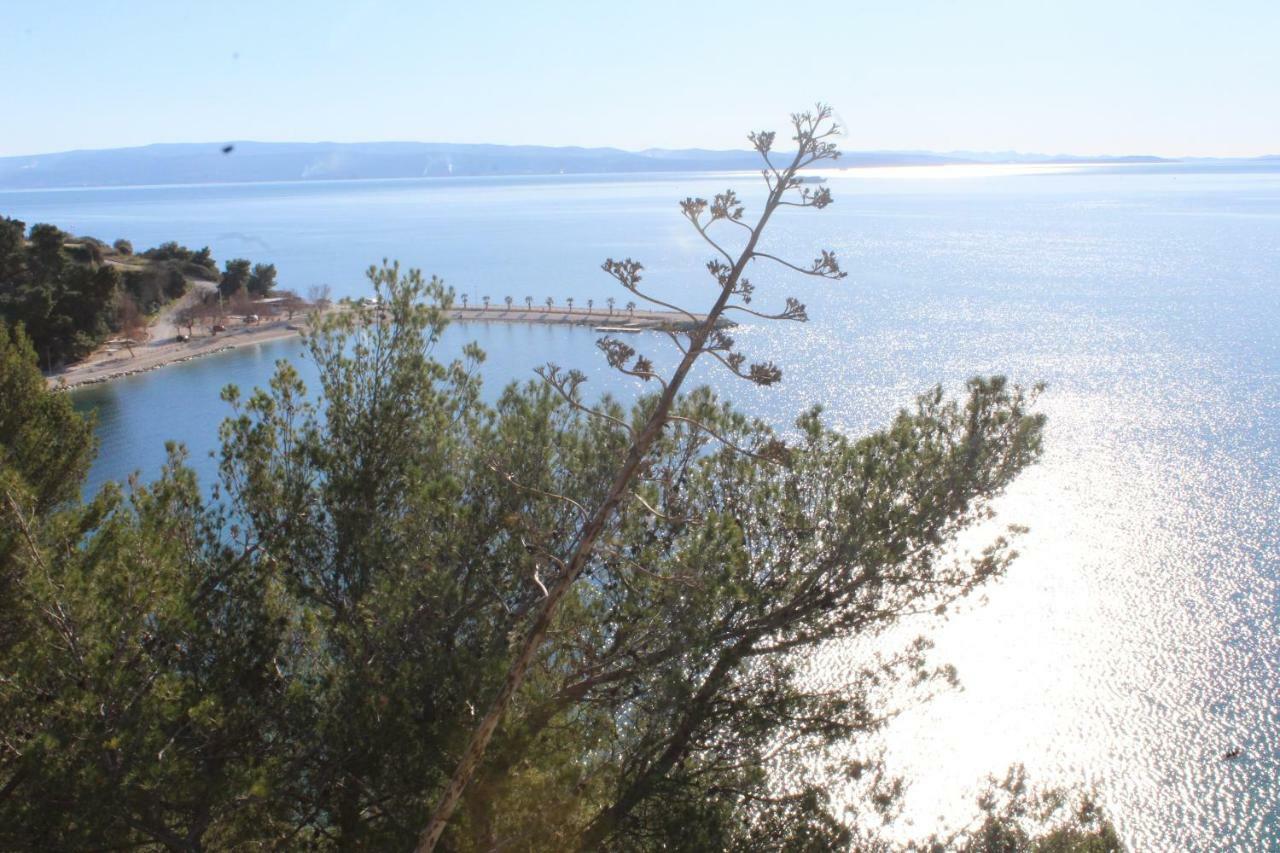 Paradise Apartment With Big Sunny Terrace In The Old Town, Few Meters From The Sea & Riva Promenade 스플리트 외부 사진